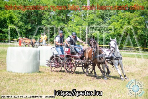Mintakép 20260613-729