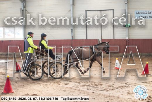 Mintakép 20260307-818