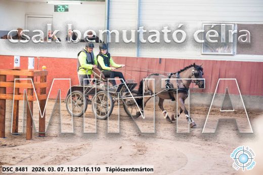 Mintakép 20260307-819