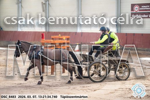 Mintakép 20260307-821