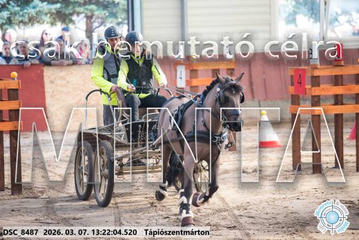 Mintakép 20260307-824