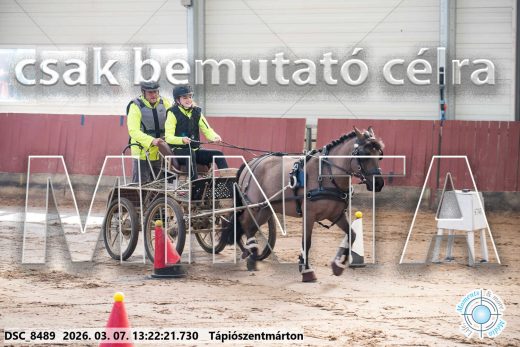 Mintakép 20260307-825