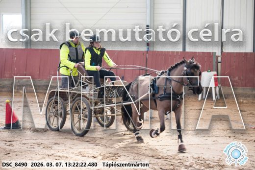 Mintakép 20260307-826