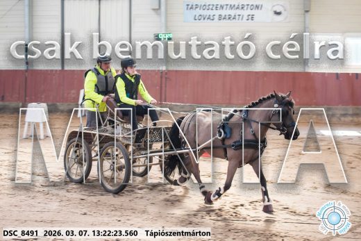 Mintakép 20260307-827