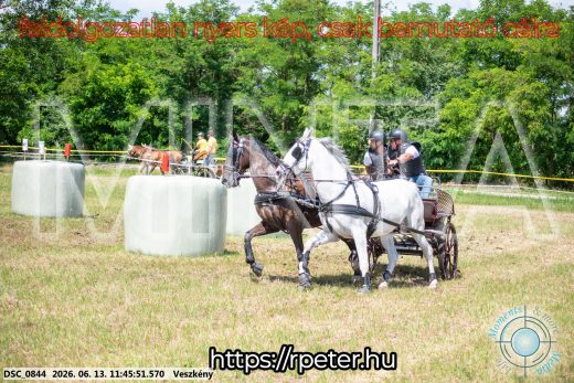 Mintakép 20260613-730