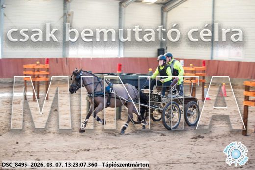 Mintakép 20260307-830