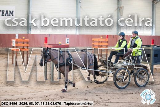 Mintakép 20260307-831