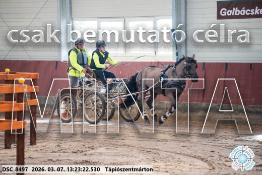 Mintakép 20260307-832