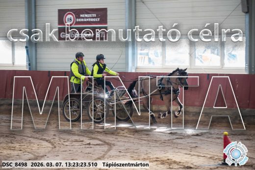 Mintakép 20260307-833