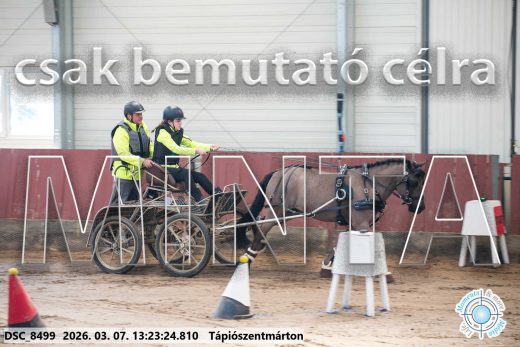 Mintakép 20260307-834