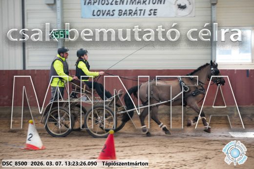 Mintakép 20260307-835