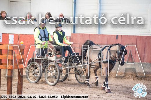Mintakép 20260307-837