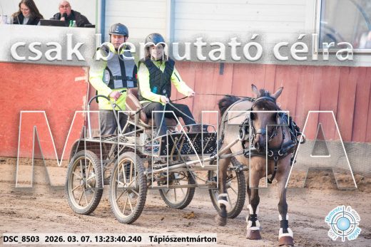 Mintakép 20260307-838