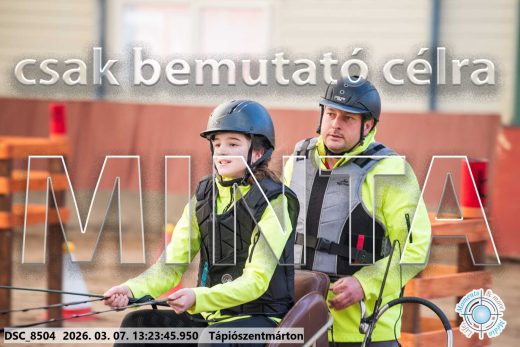 Mintakép 20260307-839