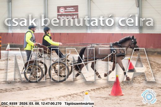 Mintakép 20260308-90