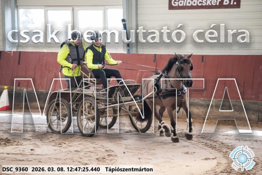 Mintakép 20260308-91