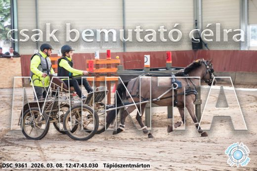 Mintakép 20260308-92