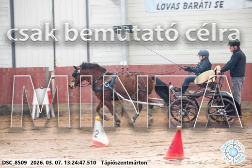 Mintakép 20260307-844