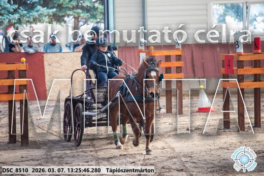 Mintakép 20260307-845
