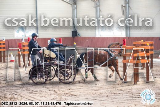 Mintakép 20260307-847