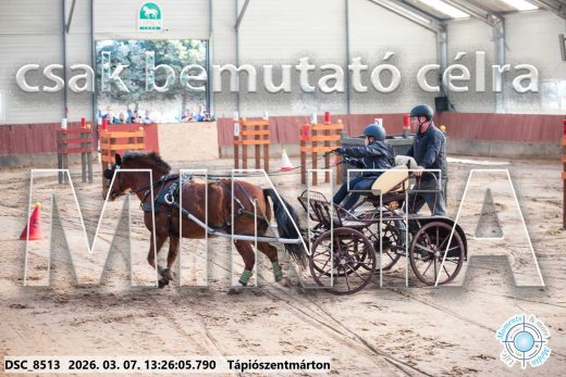 Mintakép 20260307-848