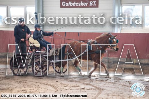 Mintakép 20260307-849