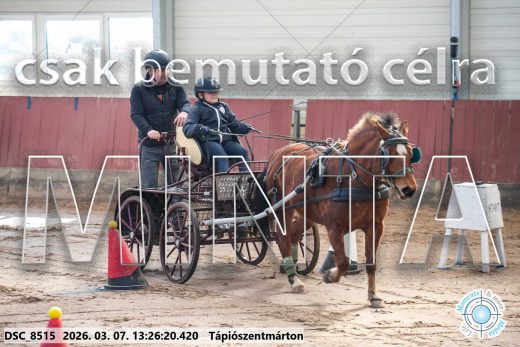 Mintakép 20260307-850
