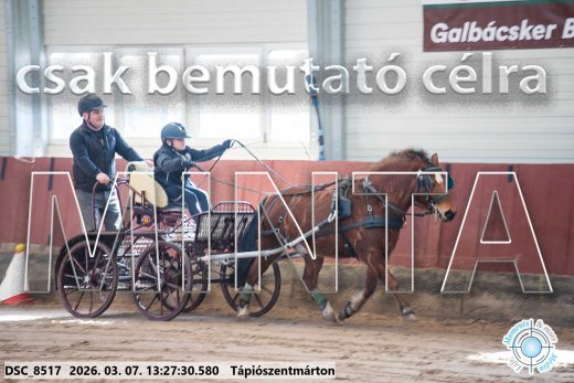 Mintakép 20260307-851