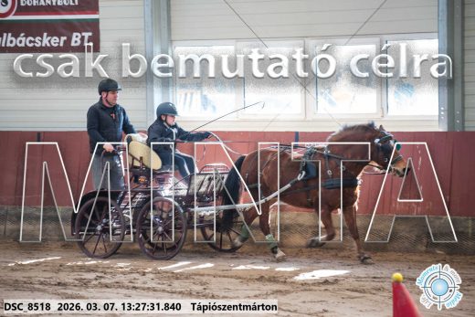 Mintakép 20260307-852