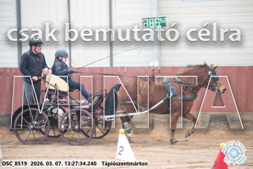 Mintakép 20260307-853