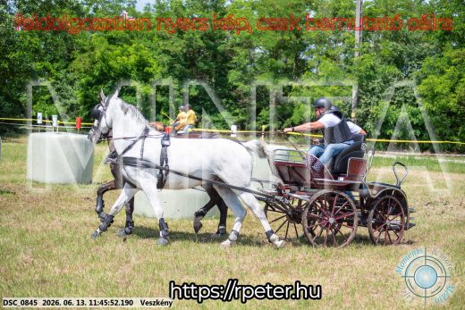 Mintakép 20260613-733
