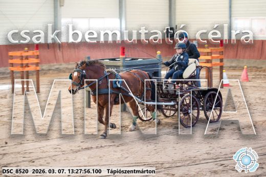 Mintakép 20260307-854