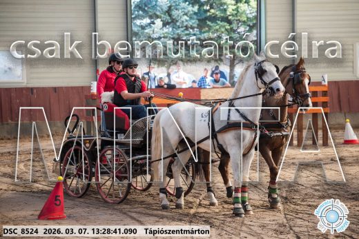 20260307-132841-DSC_8524.jpg