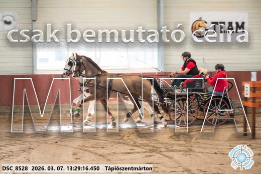 Mintakép 20260307-862