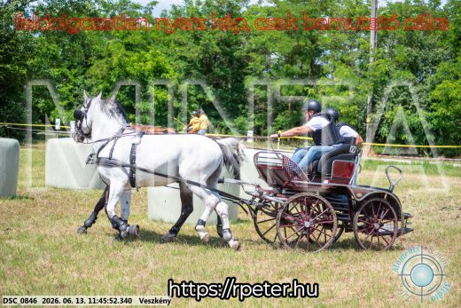 Mintakép 20260613-734