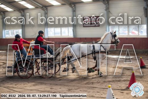 Mintakép 20260307-866