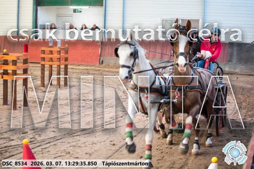 Mintakép 20260307-868