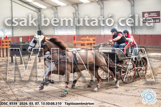 Mintakép 20260307-872