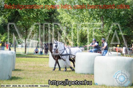Mintakép 20260613-735