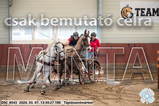 Mintakép 20260307-876