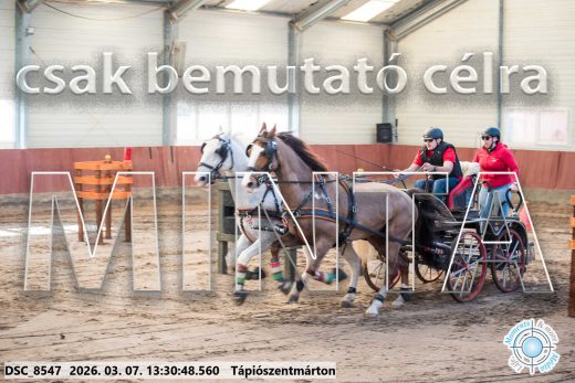 Mintakép 20260307-878