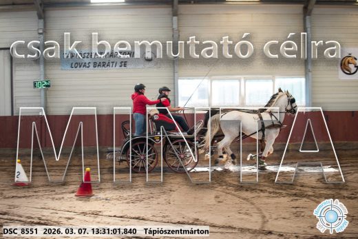 Mintakép 20260307-881