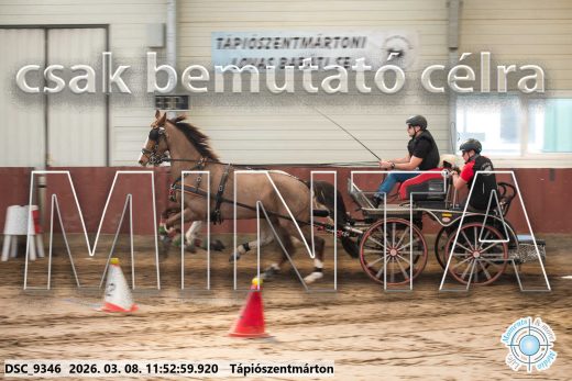 Mintakép 20260308-96