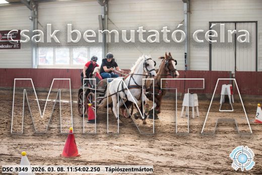 Mintakép 20260308-99