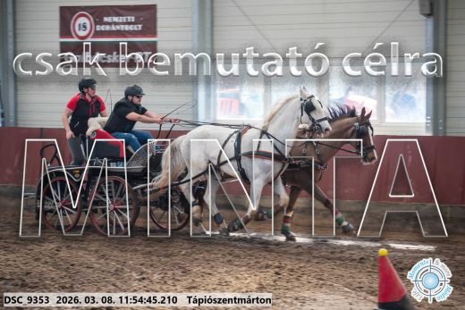 Mintakép 20260308-103