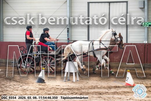 Mintakép 20260308-104
