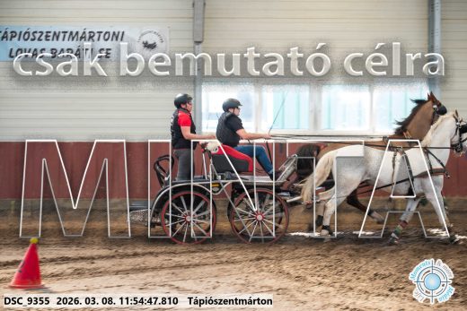 Mintakép 20260308-105