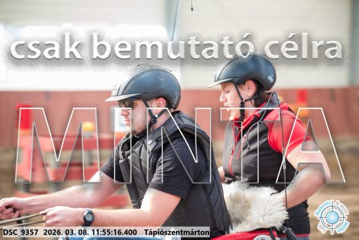 Mintakép 20260308-107