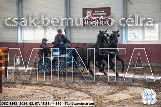 Mintakép 20260307-887