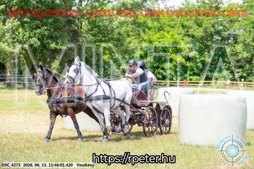 Mintakép 20260613-738